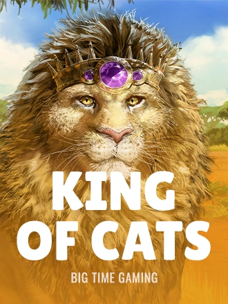 King of Cats slot at Duel Casino