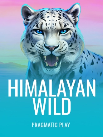 Himalayan Wild slot at Duel Casino