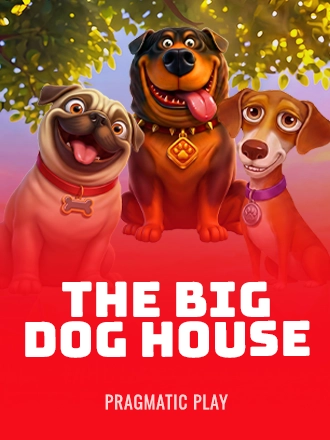 The Big Dog House slot at Duel Casino