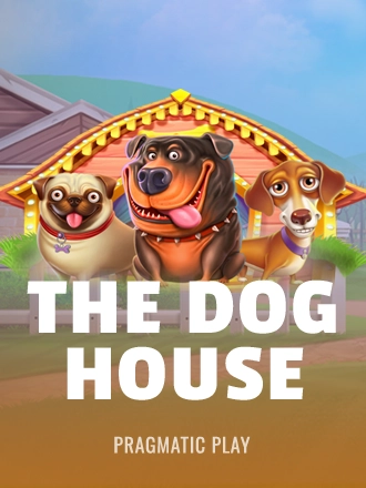The Dog House slot at Duel Casino
