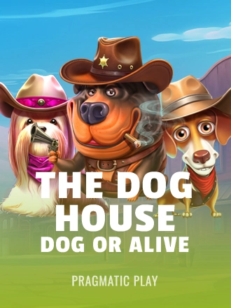 The Dog House - Dog or Alive slot at Duel Casino