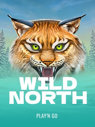 Wild North slot at Duel Casino